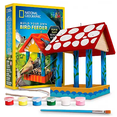 Build Your Own Bird Feeder