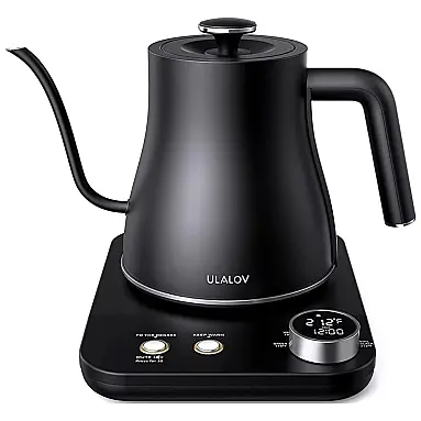 Gooseneck Chaleira Elétrica 0.8 L