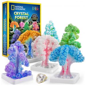 Kit de Cultivo de 6 Árvores de Cristal em 6 Horas para Crianças, National Geographic