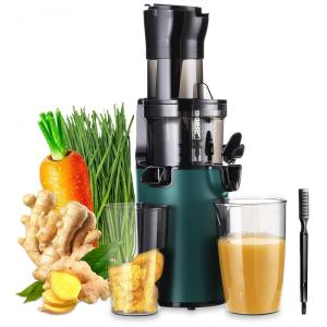 Centrifuga de Frutas com Função Reversa e Proteção Contra o Superaquecimento, 110V, SOVIDER, Verde
