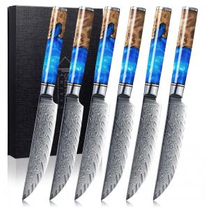 Conjunto de Facas em Aço Japonês VG10 de 67 Camadas com Estojo, 6 Peças, SENKEN, Azul