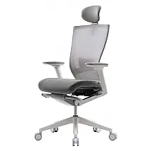 T50 Cadeira de Escritório Ergonômica Giratória e Ajustável com Encosto Respirável, SIDIZ TNB500HLDA, Cinza