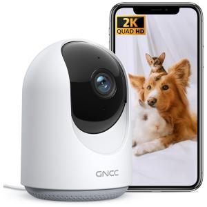 Câmera de Segurança Interna 2K Áudio de 2 Vias Zoom Panorâmico GNCC P1Pro Branca