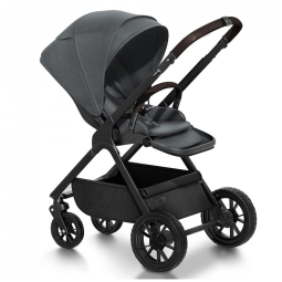 Carrinho de Bebê Reversível Frente ou Trás com Capota Expansível, Newyoo, Cinza