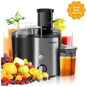 Centrifuga Espremedor Sucos Polpa 600 W 220 V Inox Profissional, BOSUNNY Juice Extractor, Prateado