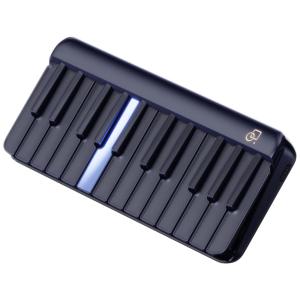 Teclado Piano Inteligente com Aulas via App para Iniciantes, 256 Tons, 100 Acordes, PopuPiano