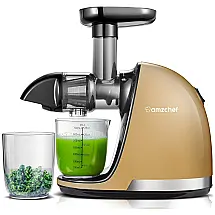 Centrifuga de Frutas com Função Reversível e Preservação dos Nutrientes, 110V 150W, AMZCHEF, Laranja