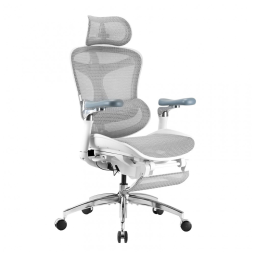 Cadeira Ergonômica de Escritório SIHOO Doro C300 Pro com Apoia-pés Cinza, Braços 6D Ultra Macios, Apoio Lombar Dinâmico, Assento Ajustável