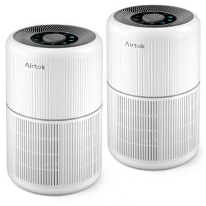 Purificador de Ar 2 em 1 para Ambientes Residenciais com Filtro de Alta Eficiência HEPA para Remoção de Impurezas até 0,1 Micrômetro,AIRTOK
