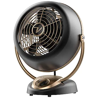 Ventilador de Mesa com 5