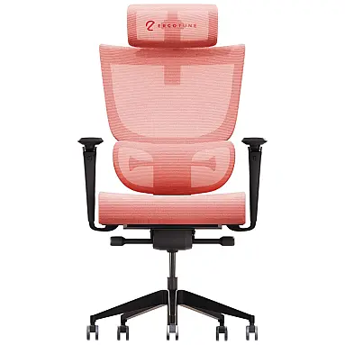 Cadeira de Escritório Ergonômica com