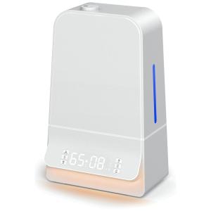 Umidificador Portátil 6L Área 60 m2, 110v, CTOMOA AH044, Branco