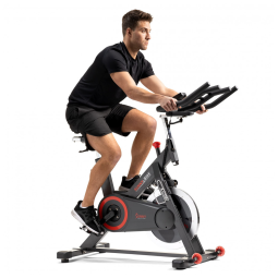 Bicicleta Ergométrica Sunny Health & Fitness SF-B1805SMART Cinza, Volante 20kg, MagNética, 300kg, Bluetooth, Ajustável, App SunnyFit, 110V