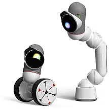 Robô Educacional STEM para Programação com Controle Remoto, a partir de 8 anos, CLICBOT, Branco