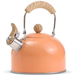 ROCKURWOK Chaleira 2L com Apito e Cabo ergonômico, Aço Inoxidável, Laranja Claro