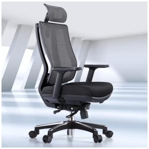 Pro 633 Cadeira de Escritório Ergonômica Giratória com Apoio de Braços, Suporte Lombar Ajustável e Apoio de Cabeça, ODINLAKE, Preto