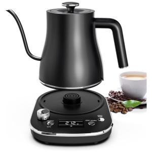 Chaleira Elétrica 800mL com Controle de Temperatura e Cronômetro Embutido, 1200W, 110v, JREAWD, Preto