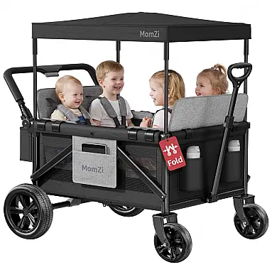 Carrinho de Passeio Wagon 4