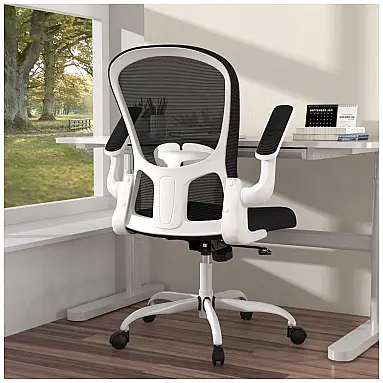 Cadeira de Escritório Ergonômica em