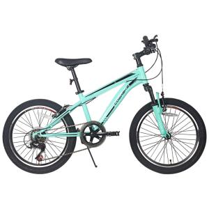 COEWSKE Bicicleta Infantil com 6 Velocidades para 6 a 10 anos, Verde