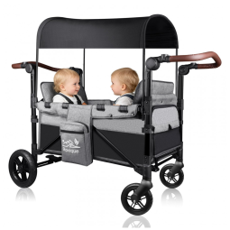 Carrinho de Passeio Wagon Rovique Cinza 2 Assentos Dobrável com Capota e Travão