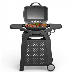 Churrasqueira a Gás 11.500 BTU com 1 Queimador em Aço Inoxidável, MASTER COOK, Preto