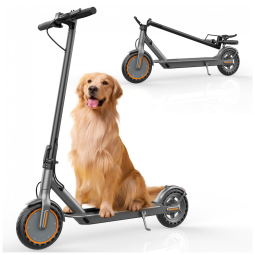 Patinete Elétrico Sigravy Laranja e Preto Motor 350W Pneu 21,6cm Suspensão Dianteira Dobrável SGEL01