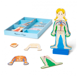 Kit Magnético Anatomia Humana com 24 Peças e Bandeja de Armazenamento, Melissa & Doug