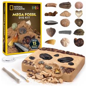 Kit de Escavação de Fósseis National Geographic – Desenterre 15 Espécies Autênticas com Ferramentas Educativas