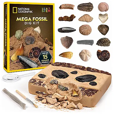 Kit de Escavação de Fósseis