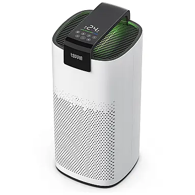 TOPPIN Purificador de Ar Automático