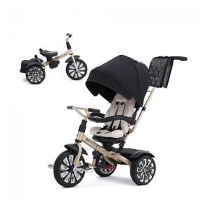 Triciclo Infantil 6 em 1, Oficialmente Projetado pela Bentley com Cobertura e Alça para os Pais, POSH BABY KIDS, Dourado