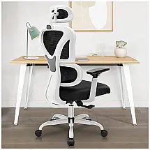 Cadeira de Escritório Ergonômica com Apoio Lombar e Apoio de Cabeça Ajustável, FelixKing, Preta e Branca
