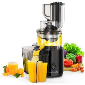 ENZOO Espremedor de Sucos Fácil de Limpar, Botão Reverso 200W, CADENCE, Preto
