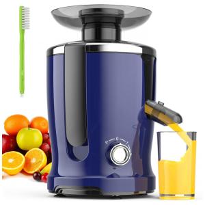 Centrífuga de Frutas com 2 Velocidades, Aço Inoxidável, 600W, 110v, GENERIC, Azul