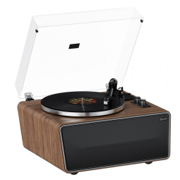 Toca-Discos All in One com Bluetooth e Alto-falantes Integrados - Alta Fidelidade e Design Exclusivo,XJ-HOME