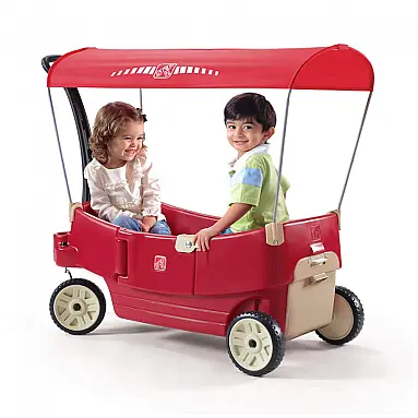 Carrinho de Passeio para 2