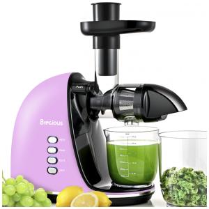 Centrifuga de Frutas com 2 Velocidades, Motor Silencioso e Função Reversa, 110V 150W, BRECIOUS, Rosa Claro