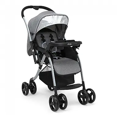 Carrinho de Bebê para Passeio