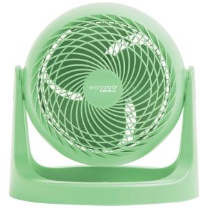 Ventilador Circulador de Ar de Mesa Portátil com 2 Velocidades, 110V IRIS USA WOOZOO, Verde