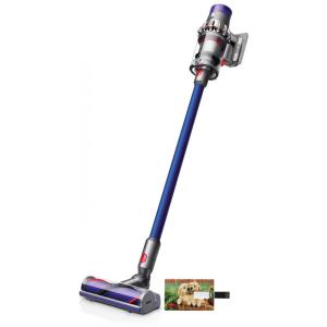 Aspirador de Pó Multifuncional sem Fio com até 60 Minutos de Duração, 110V, Dyson V10, Roxo