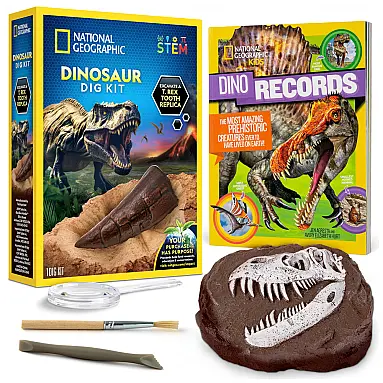 Kit Livro de Dinossauro e