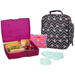 Lancheira Isolada com 9 Acessórios para Transporte, Preta Flamingos