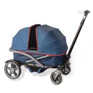 Carrinho de Passeio Vagão Duplo para Todos os Terrenos com Alça Ajustável, Gladly Family, Azul