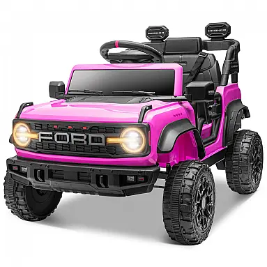 Carro Elétrico Infantil 12V Ford