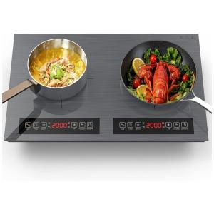 Cooktop Elétrico de Bancada com 2 Queimadores de Indução e Controle Digital, 110V 2000W, QTYANCY, Cinza