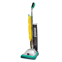 Aspirador de Pó BigGreen, 110v, BISSELL BG101, Verde