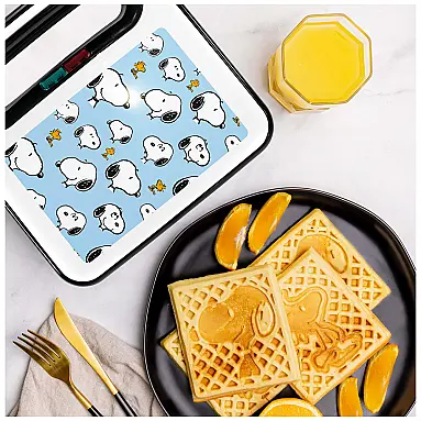 Máquina de Waffle, Tema Snoop