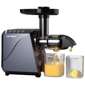 Centrífuga de Frutas com 7 Velocidades, Aço Inoxidável e Silencioso, 250W, 110v, AIYFYHTE, Cinza
