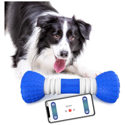 GoBone Interactive Smart Appliance Brinquedo Interativo com SmartPhone para seu Companheiro Muita Diversão
